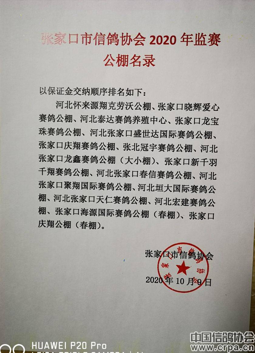 東光信鴿協(xié)會(huì )最新通告，小巷深處的獨特風(fēng)味揭秘與信鴿活動(dòng)更新通知