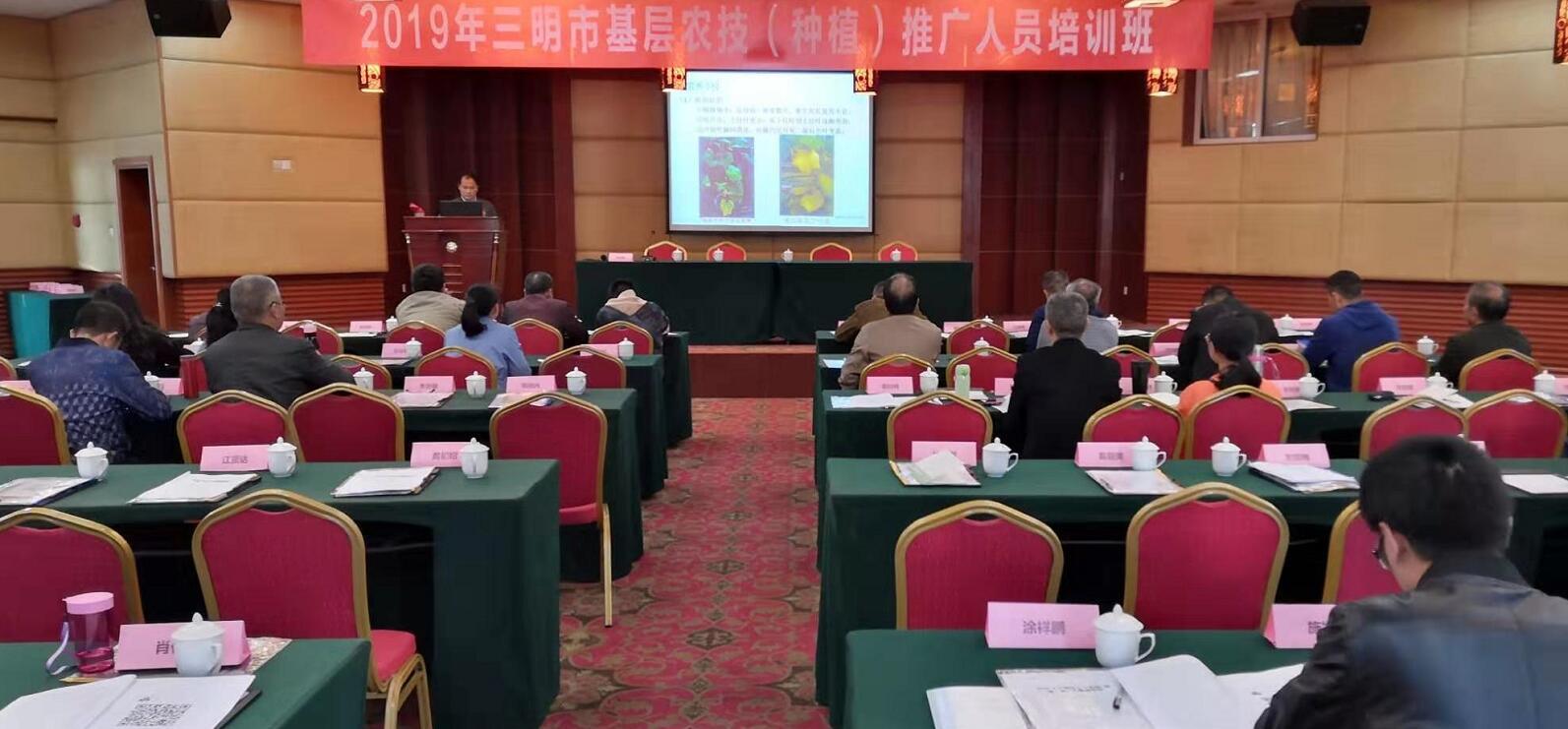 豇豆最新，廚房中的友情與家的溫馨