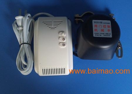 燃氣報警器價(jià)格深度探索，小巷獨特小店里的燃氣報警器價(jià)格揭秘！