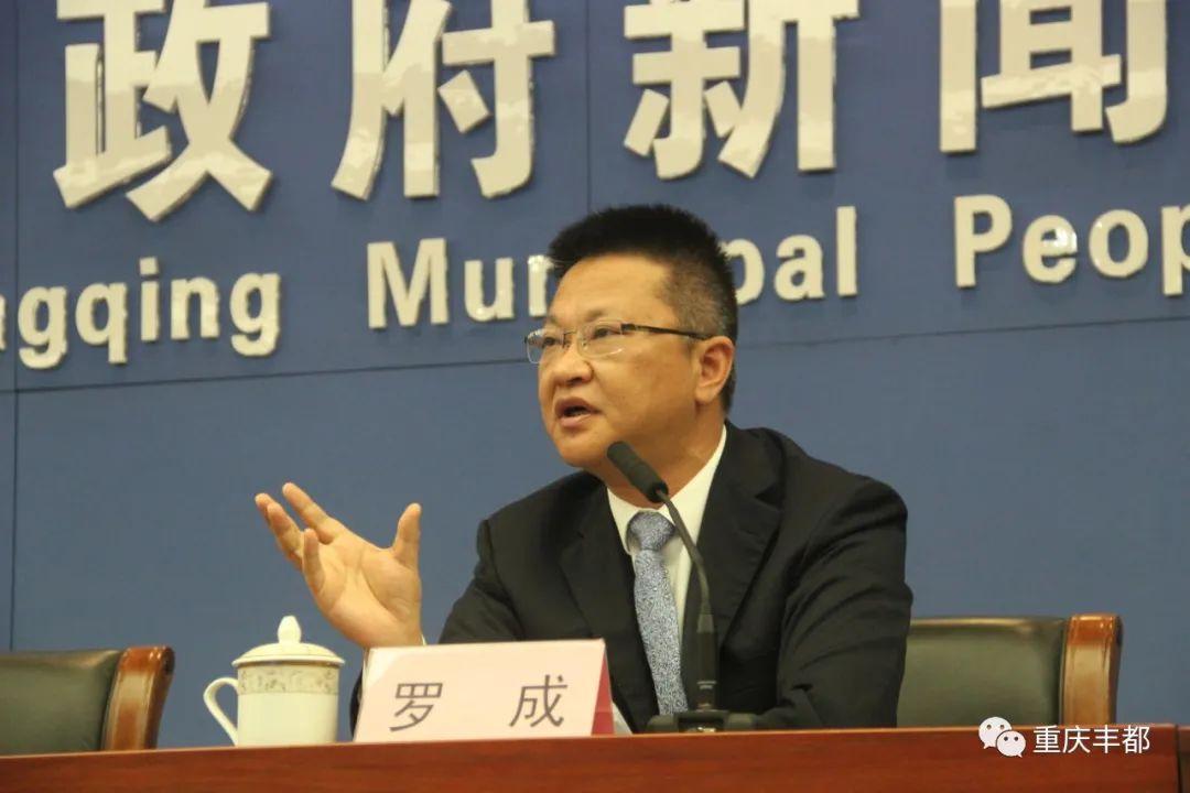 豐都新聞快訊，日常溫情與陪伴的瞬間