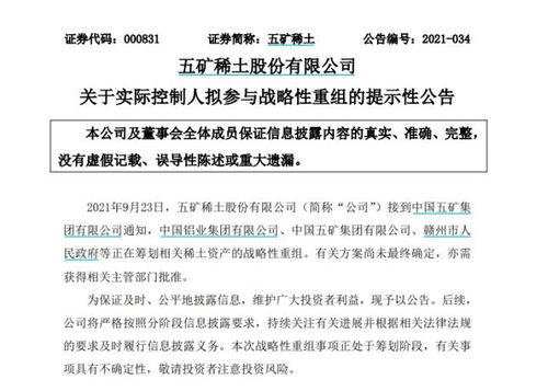 南方稀土股票，小巷中的隱秘寶藏，探索投資魅力的未知之旅