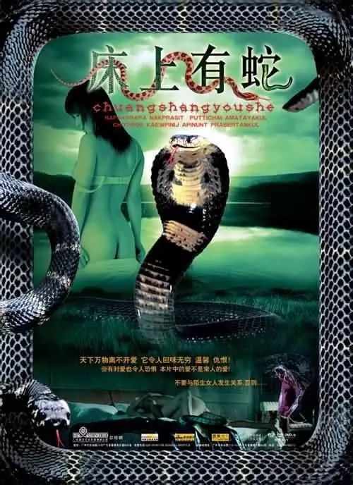 最新蛇片，蛻變的旅程，召喚自信與成就感的冒險之旅