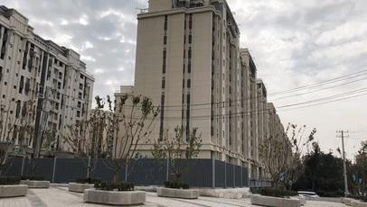 趙村最新動(dòng)態(tài)，鄉村振興新篇章開(kāi)啟