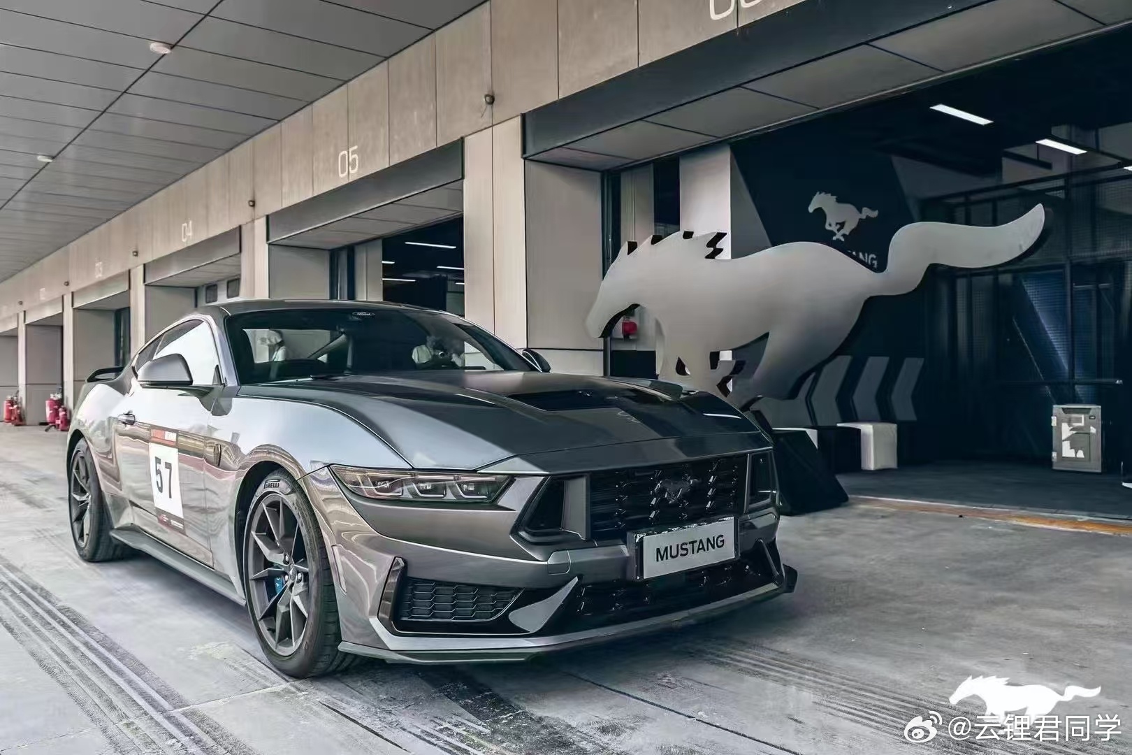 野馬擼最新動(dòng)態(tài)，駕馭變化，自信成就夢(mèng)想之旅