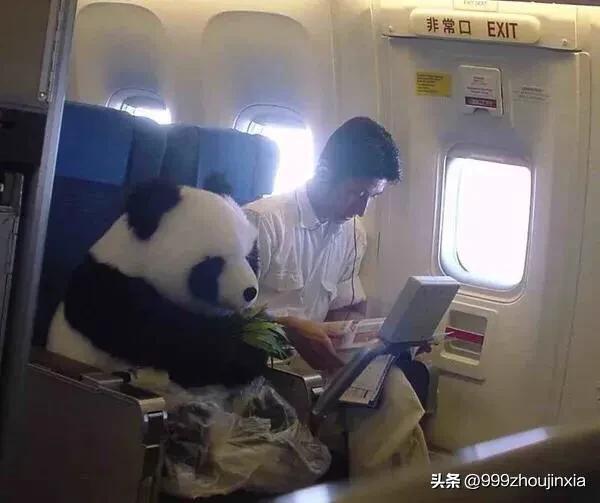 追逐變化之翼，學(xué)習鑄就自信與成就——虛幻最新探討