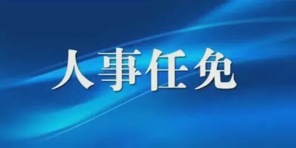 成都人事任免背后的故事，小巷獨特風(fēng)味小店與城市的脈動(dòng)
