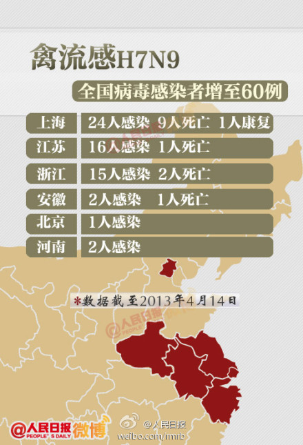 山東禽流感最新動(dòng)態(tài)，友情與陪伴的溫馨故事