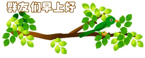 最新清晨祝福短信，晨曦中的溫暖問(wèn)候，傳遞美好祝愿與關(guān)懷