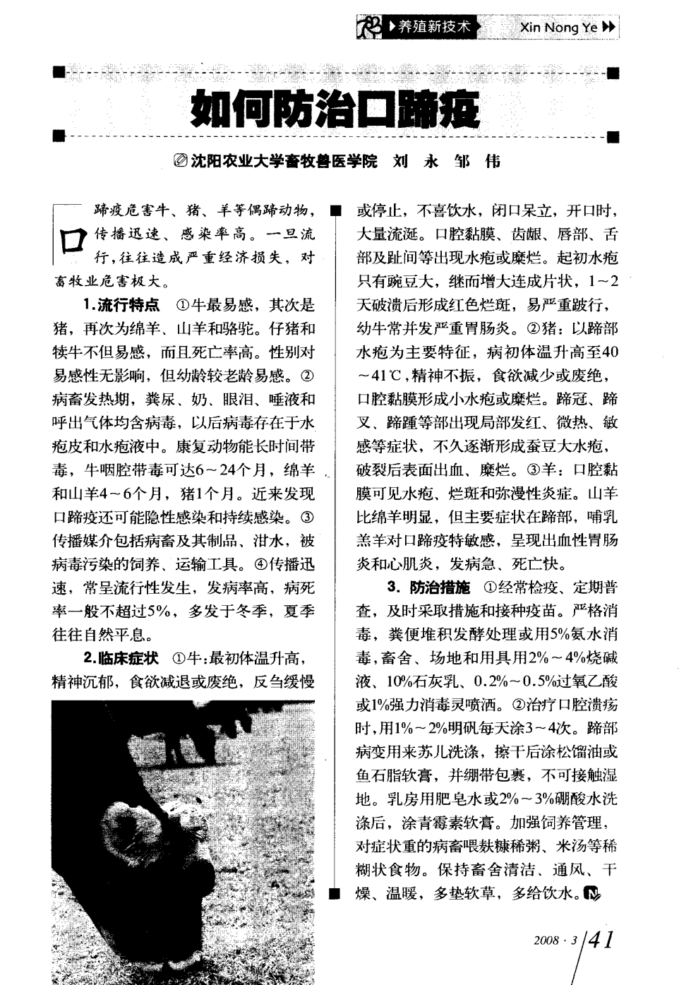 口蹄疫最新科研，自然探險與內心平和的追尋之旅