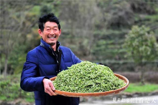 最新夷陵新聞，探索自然美景的旅程，尋覓內心平和之地