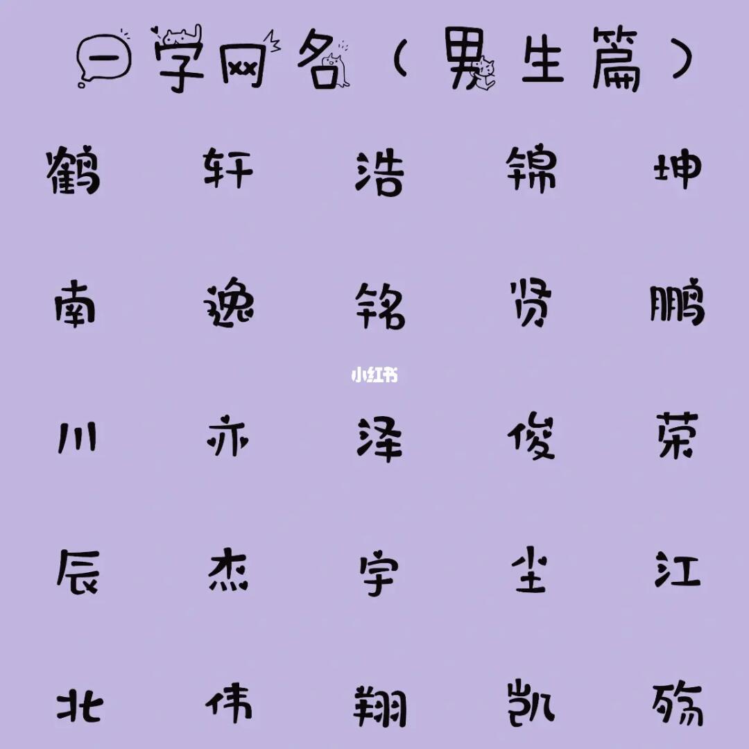 最新男生網(wǎng)名，時(shí)代潮流與虛擬身份的完美融合塑造