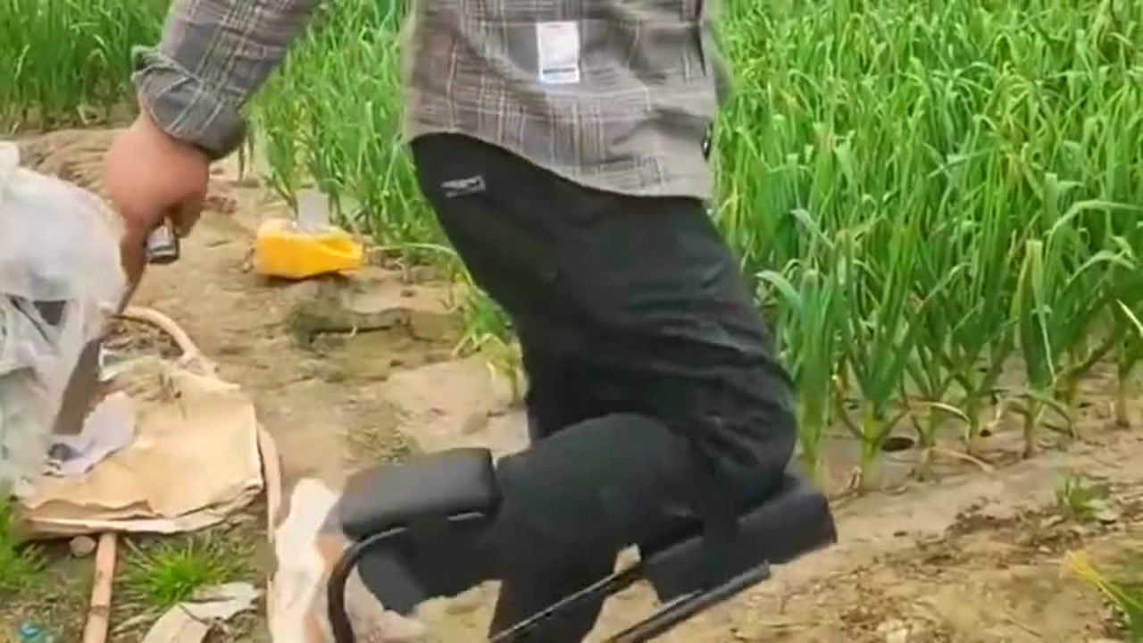 最新挖蒜工具，心靈與自然的完美交融