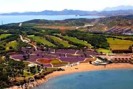 心悅海島探險攻略，最新任務(wù)指南與探險體驗