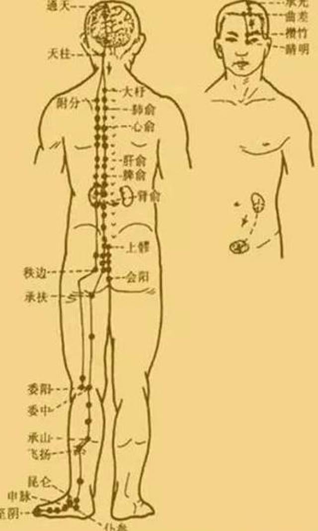 最新經(jīng)絡(luò )操，探索古老奧秘，重塑健康身姿