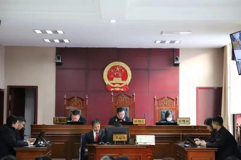 偏關(guān)最新案件深度解析，揭示真相，關(guān)注社會(huì )公正與公平