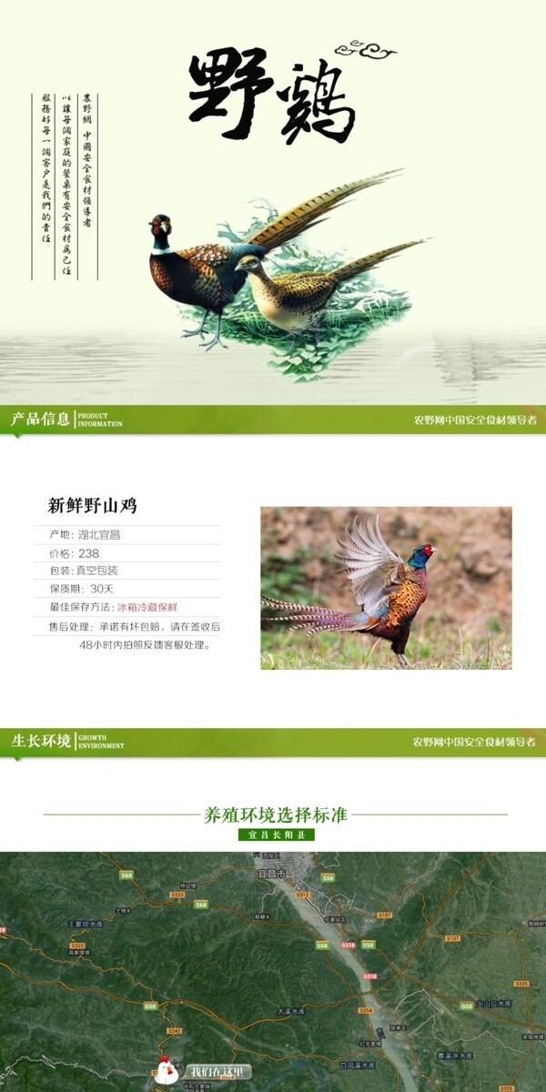 深度剖析，最新山雞的背景、事件與地位概述