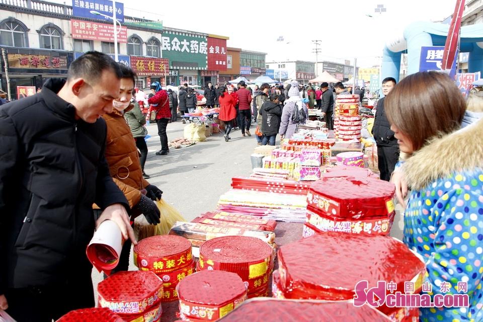 淘元素最新，淘淘的奇妙冒險之旅與友情的溫暖體驗