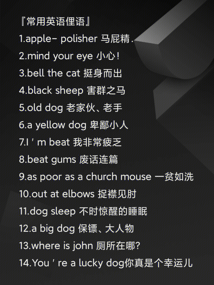 英文最新俚語(yǔ)揭秘，小巷秘密小店的潮流詞匯