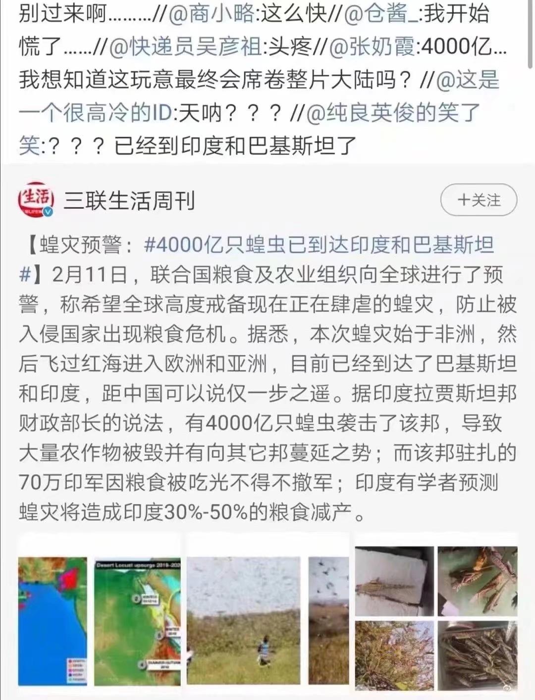 蝗蟲(chóng)最新動(dòng)態(tài)，防治與監測的全面指南