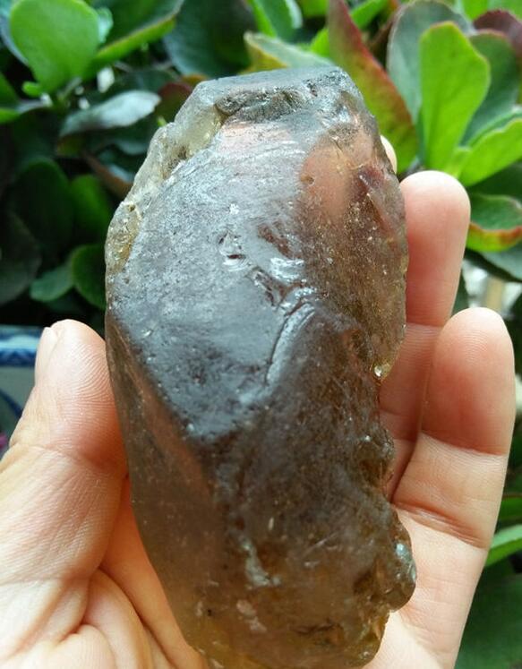 最新鑒定法，揭示友情的印記與家的溫馨