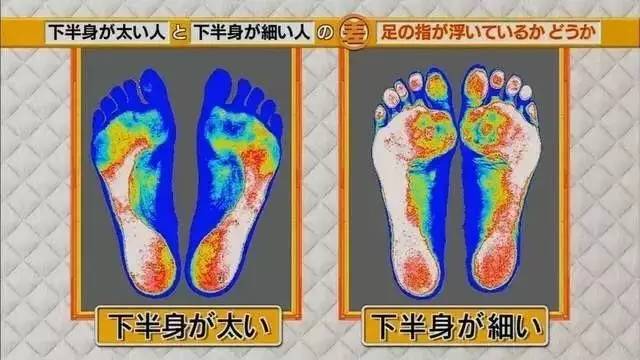 最新地趾論述，探索、爭議與觀(guān)點(diǎn)綜述