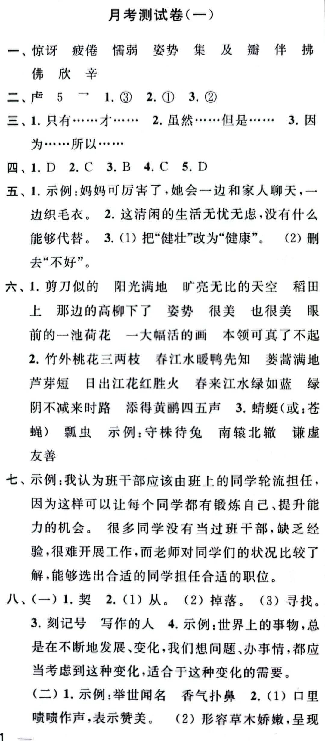 最新月考與大自然療愈之旅，尋找內心平靜的奇妙探險