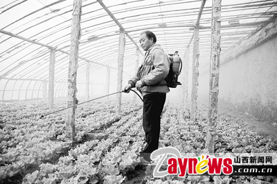 最新農藥抽檢結果出爐，守護農田安全，你我他的共同責任