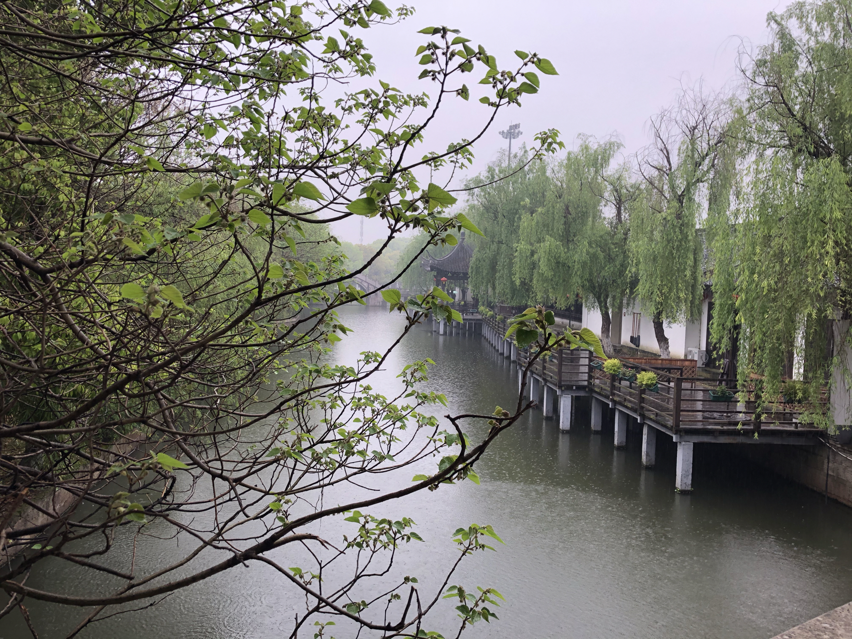 江南煙雨最新，自信與成就感的成長(cháng)之旅