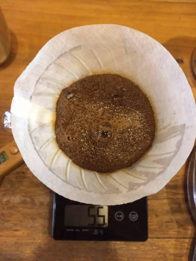 最新萃取法詳解，步驟指南與操作技巧