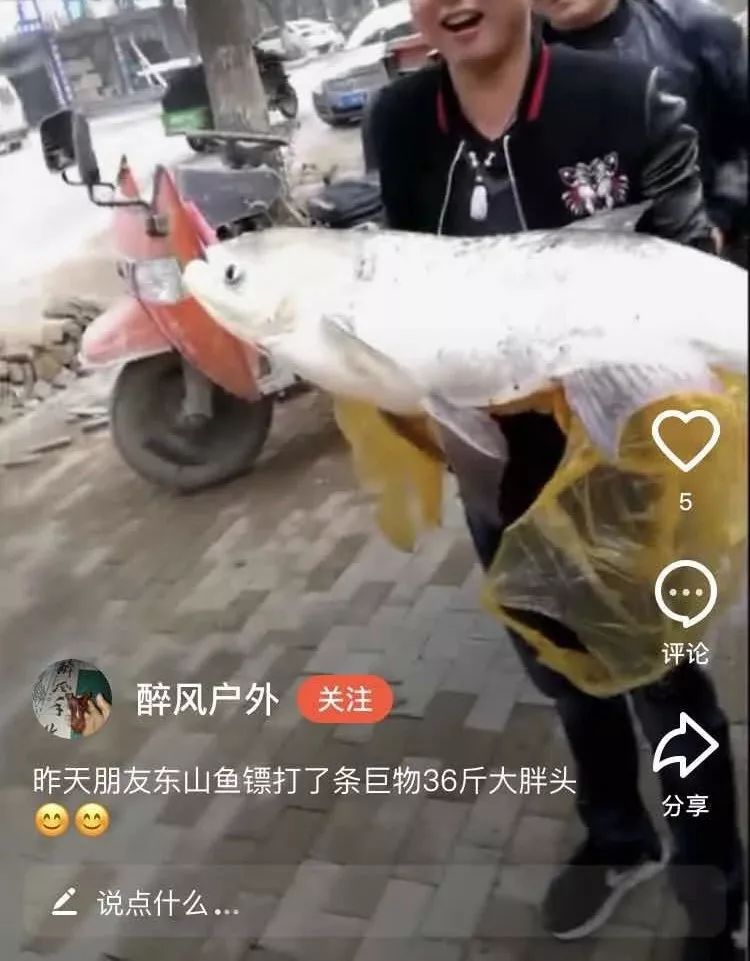 射魚(yú)神器進(jìn)化升級，學(xué)習變革與自信成就之源