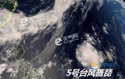 最新實(shí)時(shí)臺風(fēng)風(fēng)力查詢(xún)指南，風(fēng)力信息及查詢(xún)步驟全解析